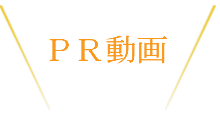 活動レポート